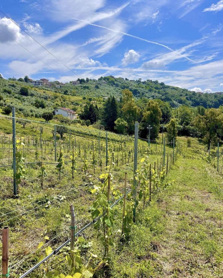 Donna Vittori - Borgo Agricolo Paliano Exterior foto